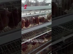 نيجيريا مستودع قسط وديلوكس نظام قفص بطارية الدواجن لطبقة الدجاج ساندي