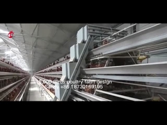 معدات قفص دجاج أوتوماتيكية بالكامل من النوع لـ 20000 مزرعة دواجن ساندي