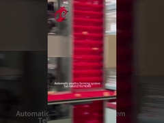 جمع البيض الأوتوماتيكي من نوع قفص الدجاج لمزرعة الدواجن