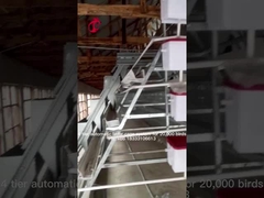 96 الطيور التلقائي قفص الدجاج معدات البطارية البيض طبقة قفص لوضع الدجاج في نيجيريا إيريس