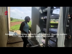 قفص بطارية دجاج من نوع طبقة أوتوماتيكية بالكامل لمزرعة كبيرة أديلا