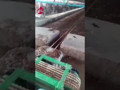 5000 دجاجة مزرعة الطيور تستخدم آلة إزالة السماد ميا