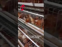 نظام قفص طبقة عالية المرونة الصلب منخفض الكربون المسالك الساخنة في أفريقيا