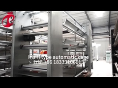 نظام قفص تربية الدواجن في أفريقيا السوق ايرس