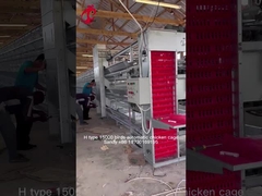 A أو H Type 4 Tier 160 Birds Layer Chicken Cage لإنتاج البيض ساندي