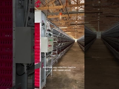 مشروع مفتاح مفتوح نظام قفص بطاريات الطيور الآلي 3 مستويات 450 سم2 نجم