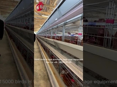 معدات رفع قفص الدجاج الأوتوماتيكية التي يتم التحكم فيها بواسطة الكمبيوتر