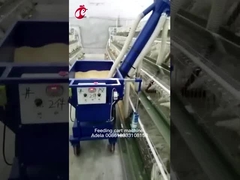 عربة تغذية الدجاج الأوتوماتيكية من النوع أ والنوع H بحجم التخصيص