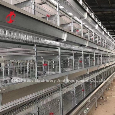96 نظام قفص بطارية الطيور الدواجن اللاحم الدجاج التلقائي البيض نوع روز