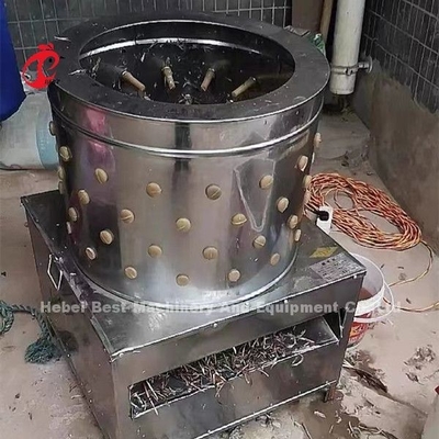 مجزر مزرعة دواجن 1100 واط آلة نتف ريش الدجاج في نيجيريا دوريس
