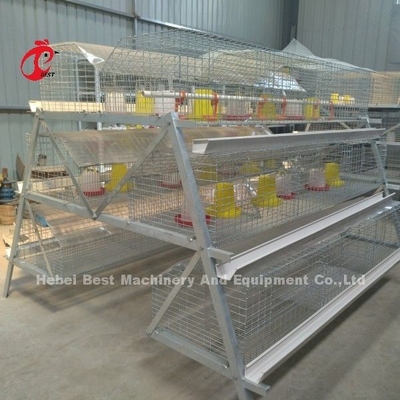 Q235 A Type 3 Tiers Pullet Chicken Cage Silver Galvanized Adela. قفص الدجاج الفضي المجلفن