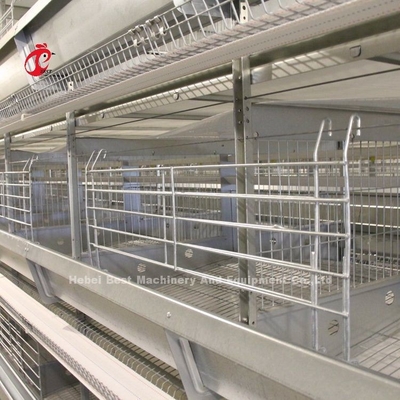 2نظام قفص بطاريات بطاقة 2 متر لـ 120-200 دجاجة