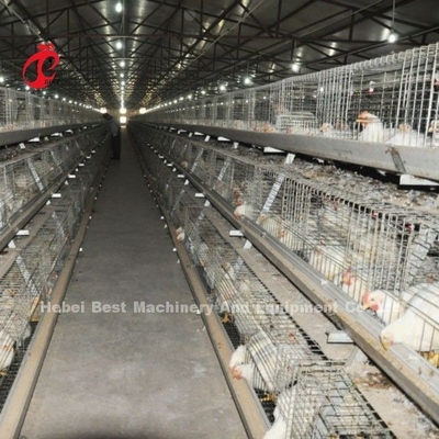 نظام قفص الدجاج الآلي بالكامل قفص الدجاج