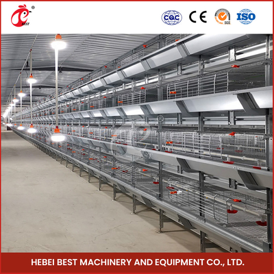 نظام قفص الدجاج الأوتوماتيكي بالكامل من نوع H Q235 Steel Rustproof Star