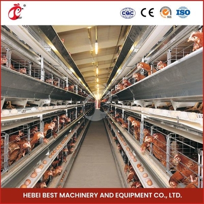 H Type 30000 Birds Automatic Egg Layer Chicken Cage With Manure Conveyor Belt Ada. قفص الدجاج ذو طبقة البيض الأوتوماتيكي من نوع H 30000 مع حزام نقل السماد Ada