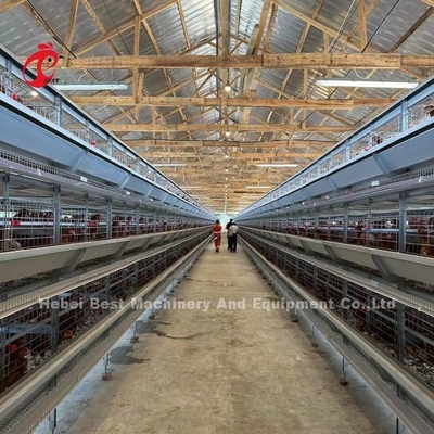 قفص بطارية دجاج بطبقة 160 دجاجة آليًا لمزرعة دواجن إميلي