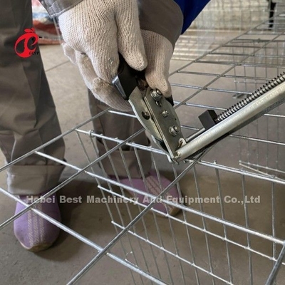 A و H معدات قفص الدجاج لتربية الدجاج مزرعة دوريس