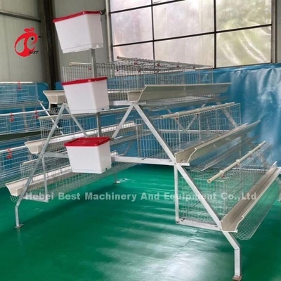 3 مستوى 120 الطيور و 4 مستوى 160 الطيور طبقة نظام قفص البطارية لأوغندا تنزانيا مزرعة الدواجن الرملية