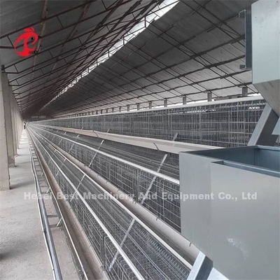 2022 حار بيع بطارية طبقة قفص الدواجن ، المغلفة أقفاص طبقة الإطار 25 عاما إميلي