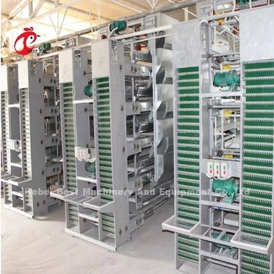 تصميم حديث بطارية طبقة قفص نوع H قفص مزرعة الدواجن ISO14001 إيميلي