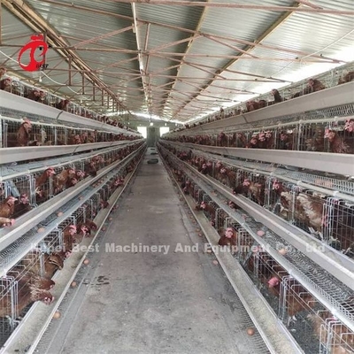 نوع يدوي وضع البيض الدجاج القفص الدجاج إيميلي