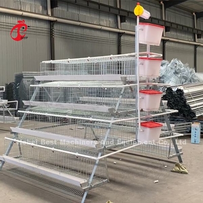 سعر قفص بطارية مزرعة الدواجن في نيجيريا 4 Tier Layer Cage Iris