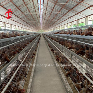 أوغندا 4 طبقات قفص دواجن طبقة للبيع مزرعة دجاج 100 كجم ميا