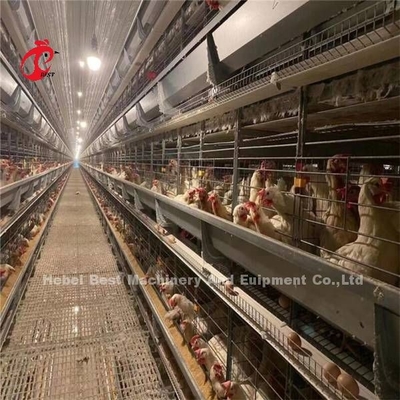 144 الطيور سعة نوع H قفص طبقة للدجاج التجاري ميا