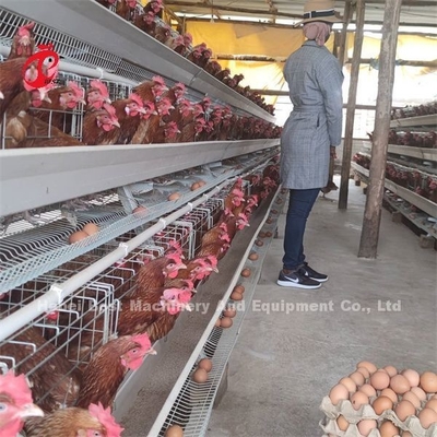 مزرعة الدواجن المصنوعة من الغلاف المسالك بطارية قفص السعر في نيجيريا لاغوس مستودع إميلي