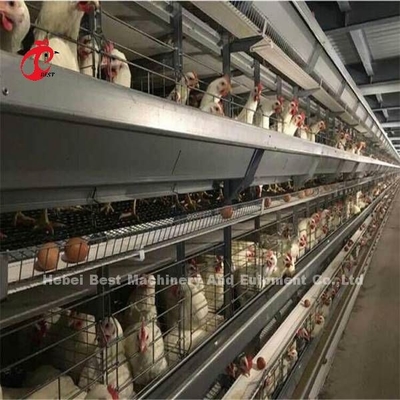 تستخدم على نطاق واسع أسلاك الحديد طبقة قفص الدواجن للدجاج ميا التجارية