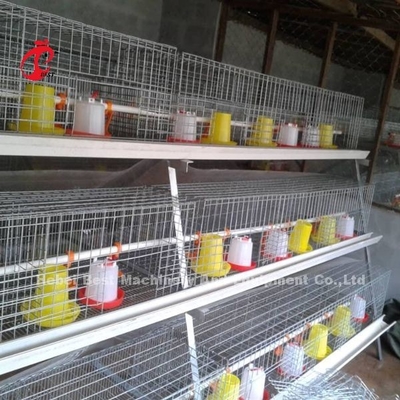 ISO Battery Type Breeding Cage ، قفص دجاج من 3 طبقات لمزرعة الدواجن Iris
