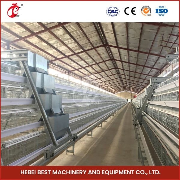 A أو H Type 4 Tier 160 Birds Layer Chicken Cage لإنتاج البيض ساندي