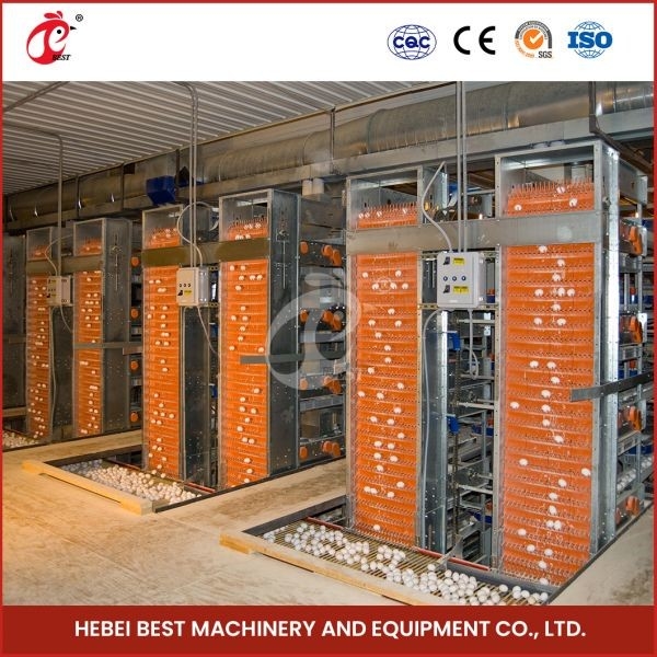 H نوع الطبقة واللاحم التلقائي بطارية الدجاج قفص معدات تصميم المنزل Ada