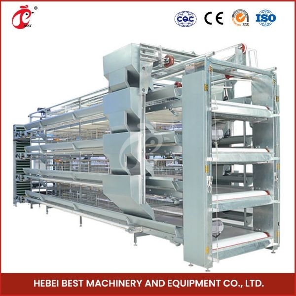 H Type 30000 Birds Automatic Egg Layer Chicken Cage With Manure Conveyor Belt Ada. قفص الدجاج ذو طبقة البيض الأوتوماتيكي من نوع H 30000 مع حزام نقل السماد Ada
