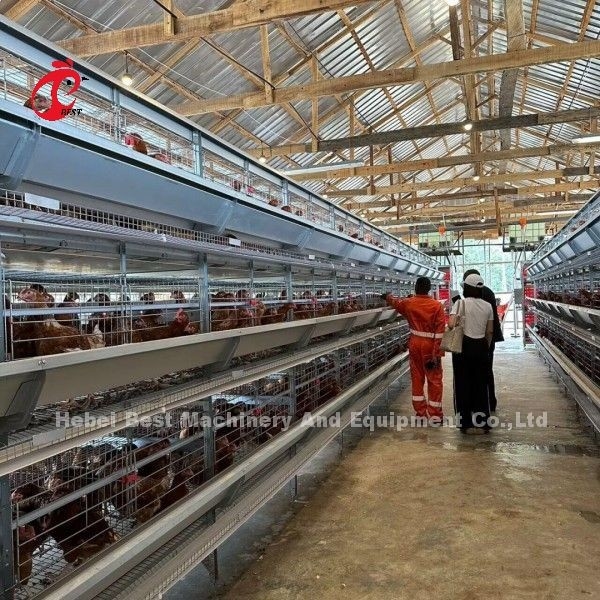 معدات رفع طبقة البطارية 200 الطيور نوع H نظام قفص أوتوماتيكي مع تثبيت الفيديو دوريس