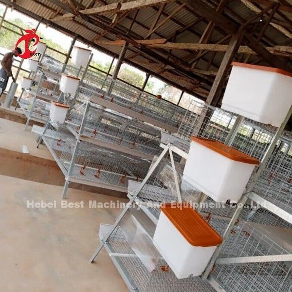 3 أو 4 مستوى تربية الدجاج قفص H حزام نظام تنظيف يدوي 2x2x1.6مترا دوريس