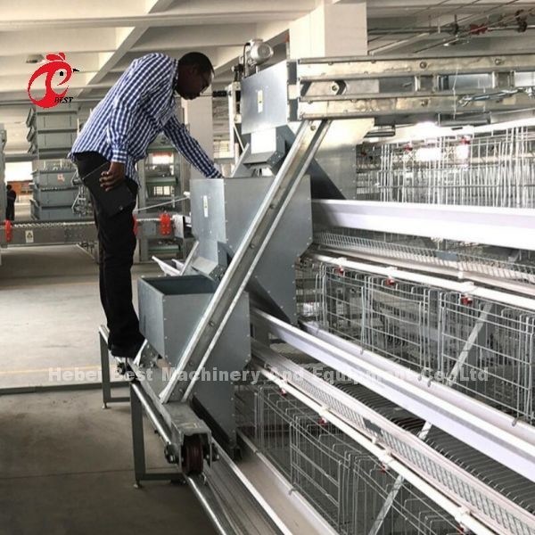 نوع H بطارية الدواجن أقفاص الكهربائية المغلفة دائمة المستوردة آلية حلمة شرب الشعر
