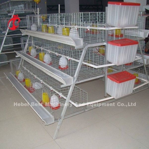 3 طبقات قفص دجاج من نوع Pullet لمدة أسبوع قفص صغير لحاضن الفرخ دوريس