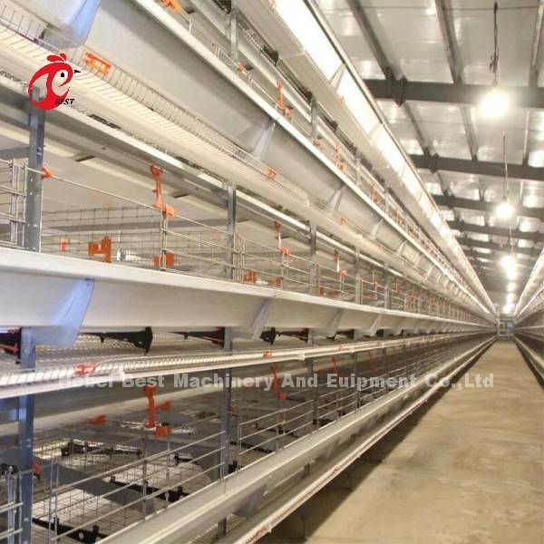 سعر قفص البطارية الأوتوماتيكي بالكامل في نيجيريا H type layer Mia
