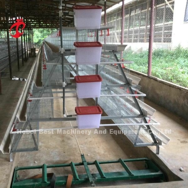 نظام قفص البطارية الأوتوماتيكي بطبقة تجارية قفص الدجاج 3 طبقات Hot Sale Rose